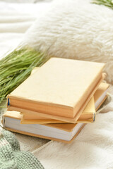 Stack of books on soft plaid