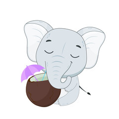 Cute cartoon elephant holding a coconut in his hands.Elephant isolated on white background. Vector illustration