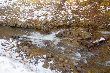 Mountain stream against forest in winter