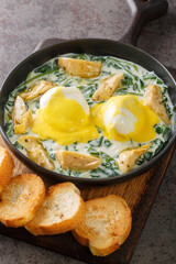 New Orleans traditional eggs sardou with spinach cream, artichokes, poached eggs and hollandaise sauce close up in the plate on the table. Vertical