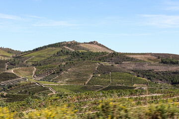 Fototapeta na wymiar Landscape with vineyards in northern Portugal