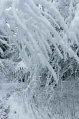Winter view panorama of South Park in city of Sofia, Bulgaria