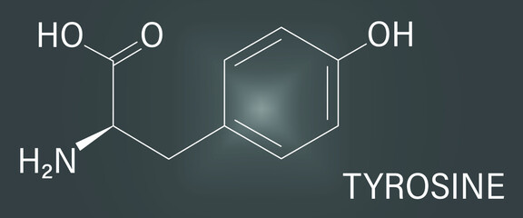 Tyrosine or l-tyrosine, Tyr, Y, amino acid molecule. Skeletal formula.
