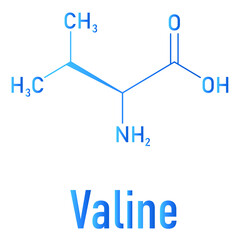 Valine or l-valine, Val, V, amino acid molecule. Skeletal formula.