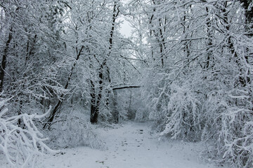 Winter view panorama of South Park in city of Sofia, Bulgaria