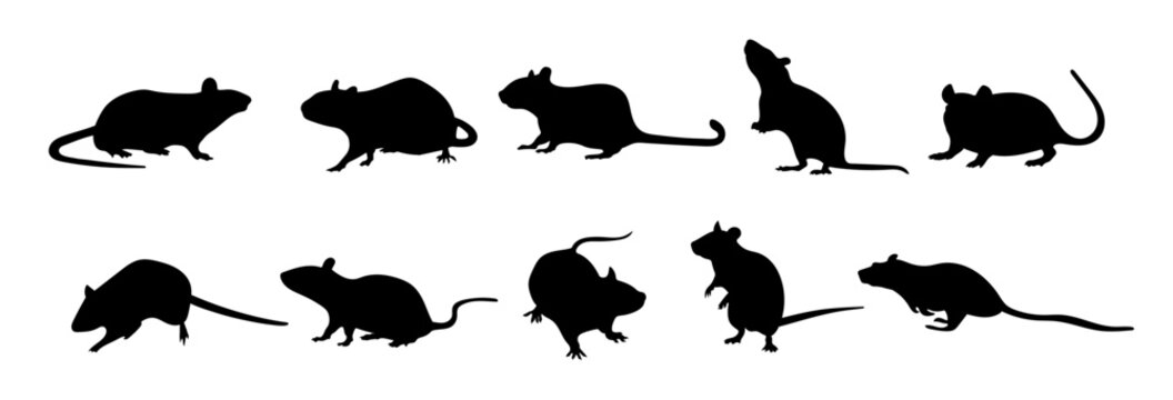 Rodent rat silhouette vector set