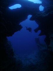 scuba divers exploring the caves and caverns underwater tropical sea fish and corals like skull skeleton cave
