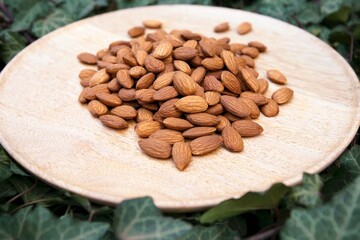 almonds in a wood