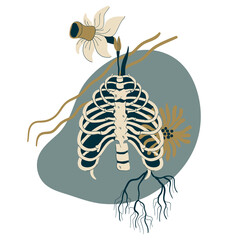 Mystery bohemian.Magic composition with bones, plants