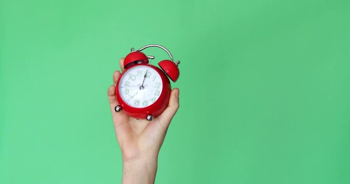 woman hands holding a alarm clock on chroma key background
