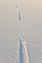 track from otter