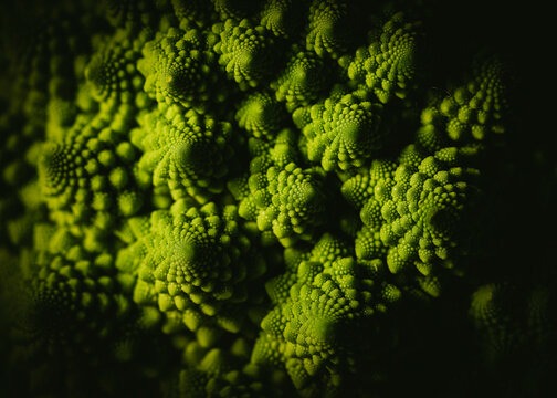 Romanesco crudo macro con textura de fractales