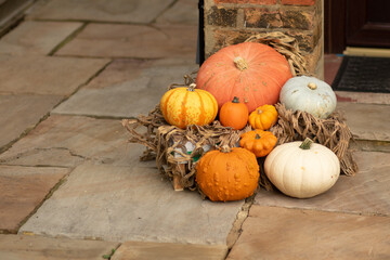 A nest of Pumpkins