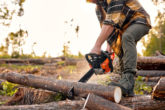 Lumberjack logger worker in protective gear cutting firewood timber tree in forest with chainsaw. caucasian male in plaid shirt engaged in hard work in forest at summer evening. Cropped wood man