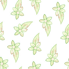 Seamless watercolor pattern of floral elements. Fine lines, delicate shades
