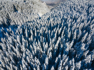 Aerial Winter view of Vitosha Mountain, Bulgaria