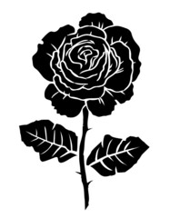 Silhouette of a black rose on a white background. Logo and design. Decorative floral element. Vector isolated art illustration drawing