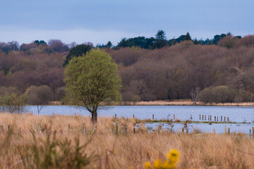 Petit coin de nature 