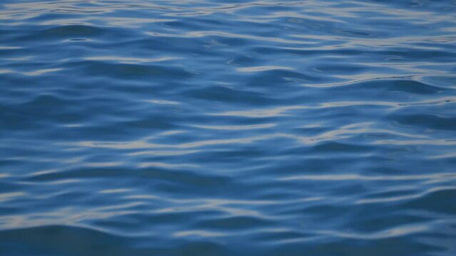 Ripples on Surface of Water in Slow Motion