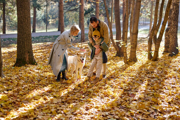 Naklejka na ściany i meble nice family with dog on walk in autumn park. family, pet, domestic animal and people concept. young man, woman and child boy in coats outdoors on warm weather. human emotions concept