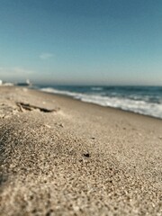 Created with RNI Films app. Preset 'Agfa Optima 200'