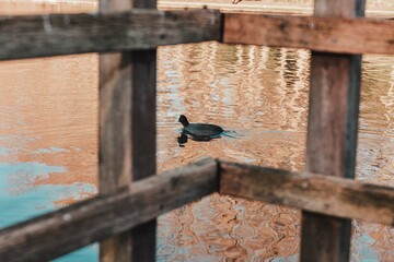 Dunkirk, France 20-01-2022: Dunkirk beach during winter