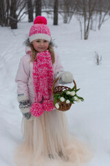 fairy tale about snowdrops