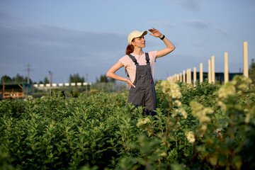 female working in organic vegetables farm. redhead woman in garden, worker in black uniform, standing above plantation, look at side. Food production business. harvesting fresh vegetables in garden