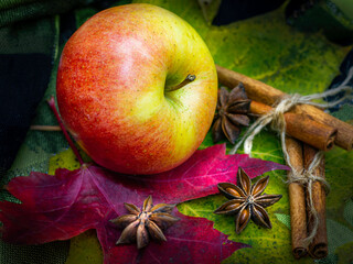 Apple, anis and cinnamon sticks
