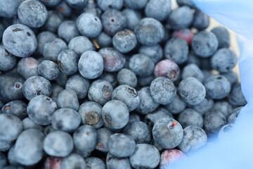 Fototapeta na wymiar blueberries in a bowl