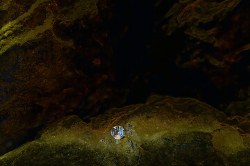 An Illustration of a Rock Diamond, Showing the Carbon Gem on a Stone Shape of Fibre with a Cotton Wool Effect Background. 