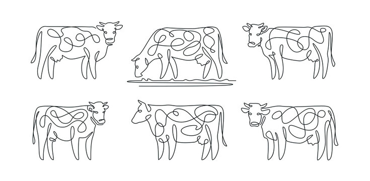 Cow icons. Outline set of farm cow vector icons in linear style isolated on white background