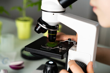 close-up microscope and plant study, increasing and studying nature