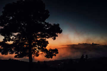 Fire colors dramatic and beautiful sunset with big trees in foreground and clouds in background. Concept of beauty of nature and sunlight