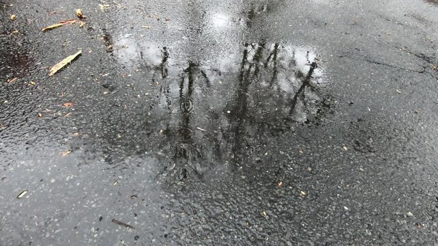 puddle and rain on asphalt