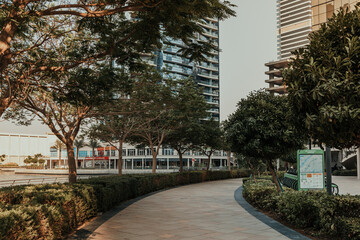 Daytime skyline of modern skyscrapers buildings property with park area and trees