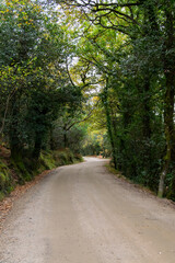 National Park hiking views. Forest roads on winter.  National Park Peneda Gerês. Mata da Albergaria.