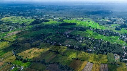 rice terraces