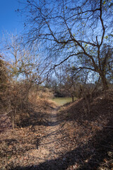 Brownwood Texas, Lake,  Riverside park, walking trial, winter season. 