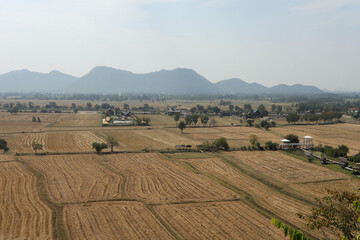 Dry rice paddy field after harvest. The dry season in countryside.