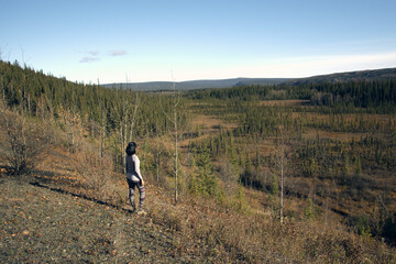 Lady hiker, forest, Alaska, Fairbanks, Dalton Highway - obrazy, fototapety, plakaty