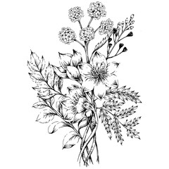 hand drawn illustration of flower bouquet in engraved style, isolated on white background
