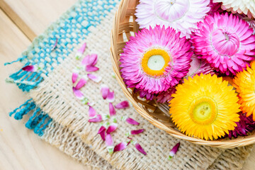 Fototapeta na wymiar Beautiful strawflowers on wooden table