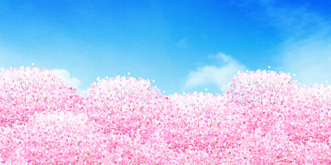 桜　春　花　背景
