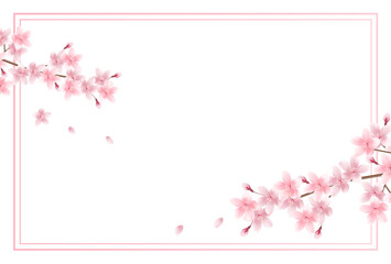 桜　春　花　背景
