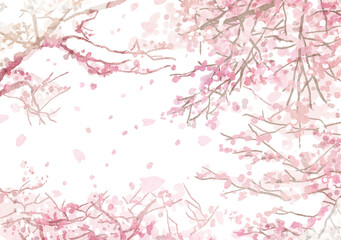 水彩の桜の木のイラスト