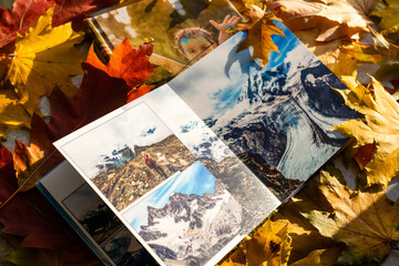 Naklejka na ściany i meble Autumn yellow leaves and family photobook. fall leaves arranged for a photo book background