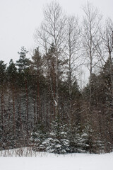 Fototapeta premium Snowy scene is Ontario, Canada