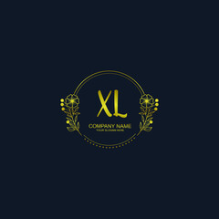 XL initial hand drawn wedding monogram logos