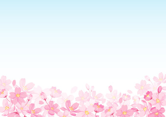 Obraz na płótnie Canvas 桜の花のイラストと青空の背景イラスト　ベクター素材